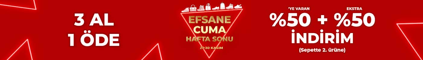 27-11-bf-tr.jpg (28 KB)